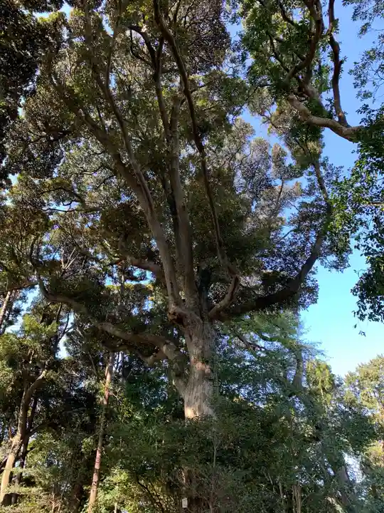 野田神社の自然