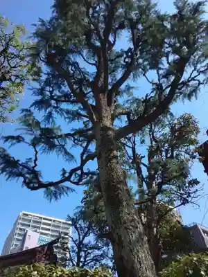 蒲田八幡神社(東京都)