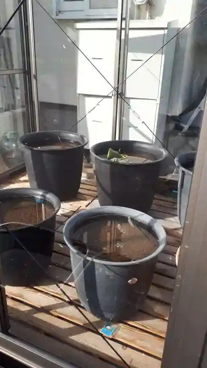 極楽山 浄土寺のその他建物