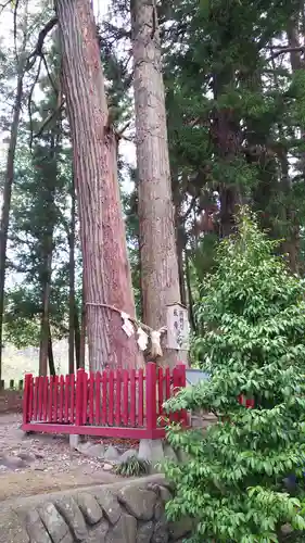 都々古別神社(八槻)の建物その他