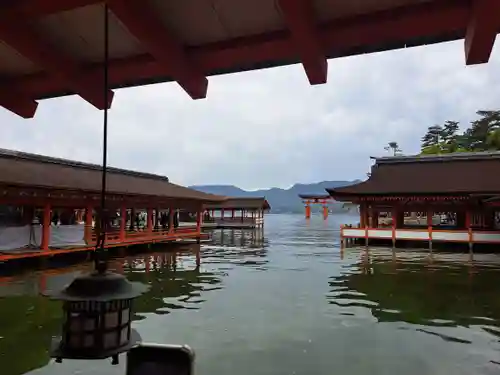 厳島神社(広島県)