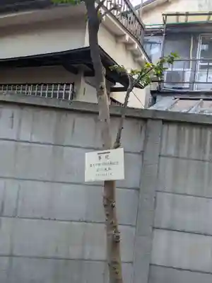 高円寺氷川神社(東京都)