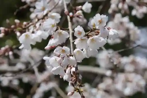 近江神宮(滋賀県)