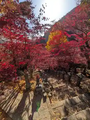 大山寺(神奈川県)