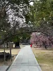 屯倉神社(大阪府)