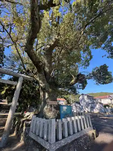 熊野三所大神社（浜の宮王子）(和歌山県)