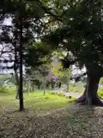 大杉神社(千葉県)