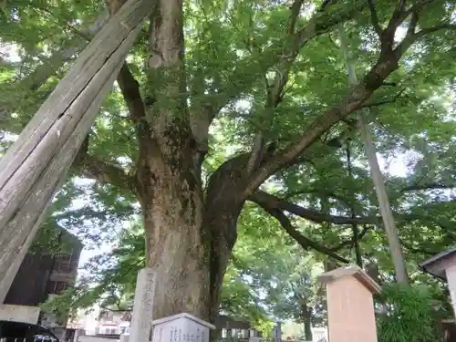 神明宮(石川県)