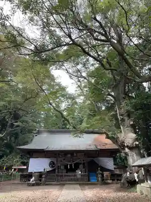 中村八幡宮(栃木県)