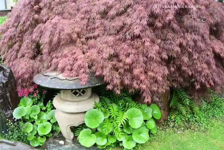 長勝寺(東京都)