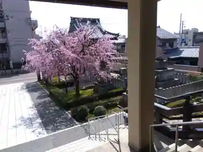 浄得寺(福井県)