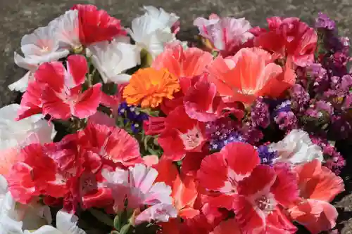 熊野福藏神社の手水舎
