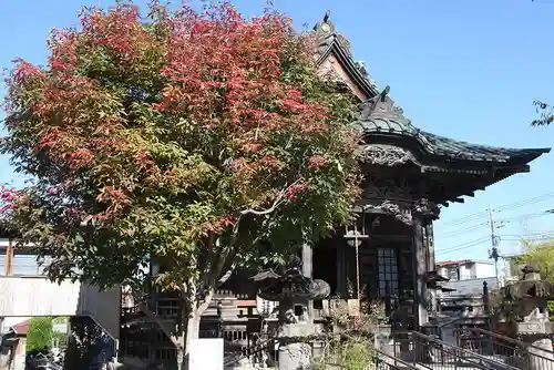 【公式】龍門院常楽寺（秩父札所十一番）の自然