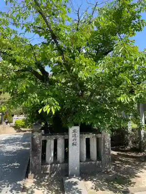 田村神社(香川県)