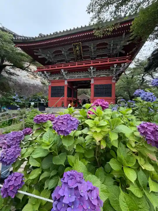 楽法寺(雨引観音)(茨城県)