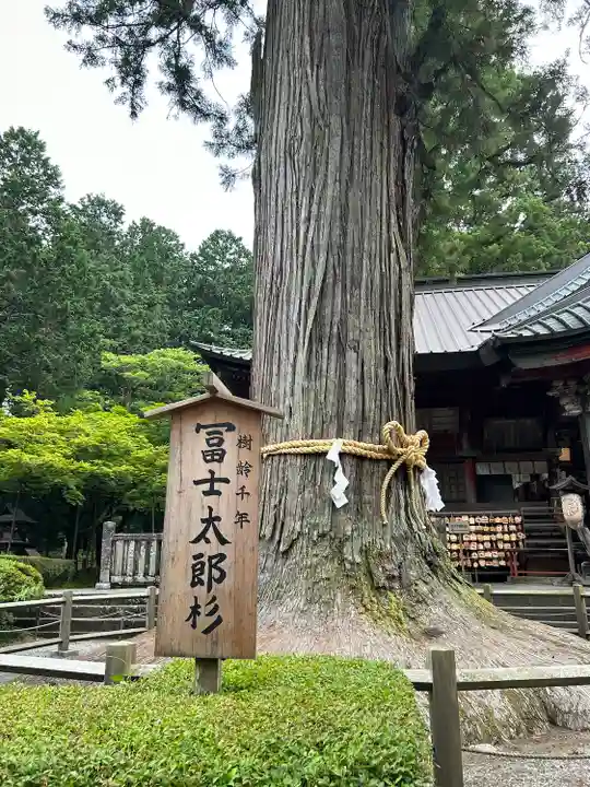 北口本宮冨士浅間神社(山梨県)