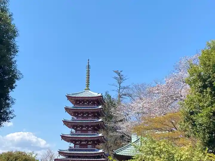 本土寺(千葉県)