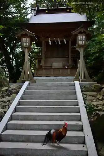 大甕神社(茨城県)