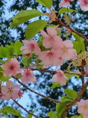 金刀比羅神社の{uncategorized: "未分類", other: "その他", undefined: "問題あり", building: "その他建物", grave: "お墓", sacred_gate: "鳥居", guardian: "狛犬", statue: "像", buddha: "仏像", history: "歴史", nature: "自然", garden: "庭園", animal: "動物", pagoda: "塔", temizu: "手水舎", mountain_gate: "山門・神門", sanctuary: "本殿・本堂", subordinate: "末社・摂社", art: "芸術", scenery: "景色", jizo: "地蔵", ema: "絵馬", goshuin: "御朱印", omikuji: "おみくじ", items: "授与品その他", amulet: "お守り", goshuincho: "御朱印帳", eats: "食事", festival: "お祭り", votive_dance: "神楽", shichigosan: "七五三参", wedding: "結婚式", experience: "体験その他", initially: "初詣", around: "周辺", anti_infection: "感染症対策"}