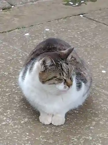 奥澤神社(東京都)