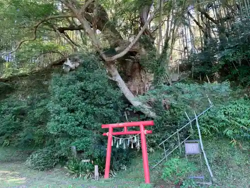 諏訪神社の自然