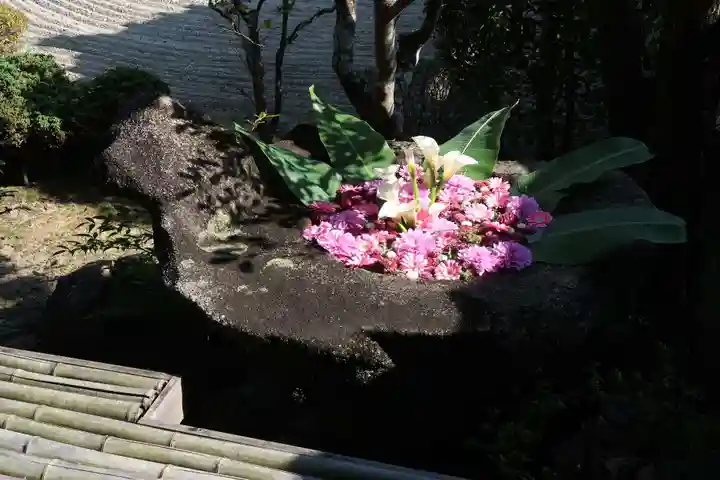 正法寺(京都府)