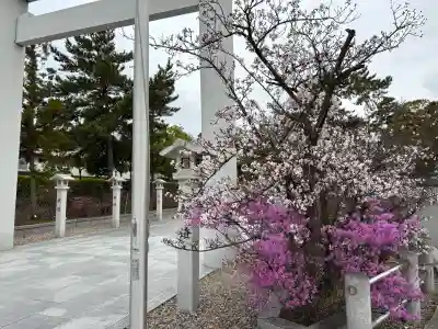 廣田神社の{uncategorized: "未分類", other: "その他", undefined: "問題あり", building: "その他建物", grave: "お墓", sacred_gate: "鳥居", guardian: "狛犬", statue: "像", buddha: "仏像", history: "歴史", nature: "自然", garden: "庭園", animal: "動物", pagoda: "塔", temizu: "手水舎", mountain_gate: "山門・神門", sanctuary: "本殿・本堂", subordinate: "末社・摂社", art: "芸術", scenery: "景色", jizo: "地蔵", ema: "絵馬", goshuin: "御朱印", omikuji: "おみくじ", items: "授与品その他", amulet: "お守り", goshuincho: "御朱印帳", eats: "食事", festival: "お祭り", votive_dance: "神楽", shichigosan: "七五三参", wedding: "結婚式", experience: "体験その他", initially: "初詣", around: "周辺", anti_infection: "感染症対策"}