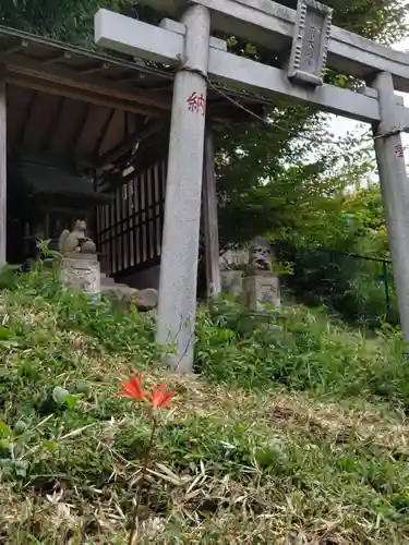 圓成院（廃寺）の末社