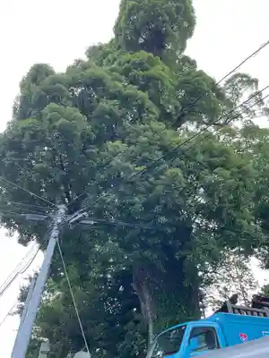 産土八幡神社(神奈川県)