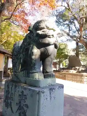 鶴谷八幡宮の狛犬