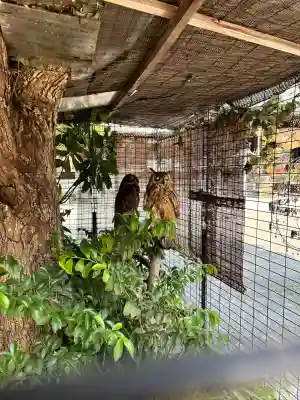 宮地嶽神社(福岡県)