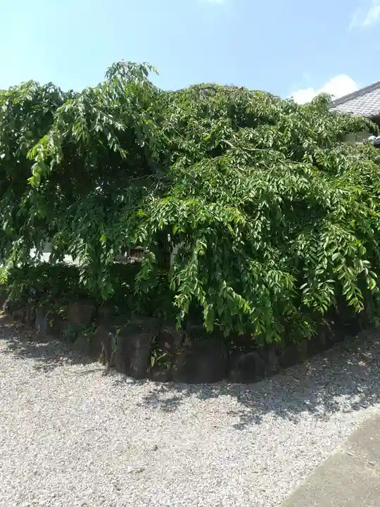 成就院(栃木県)