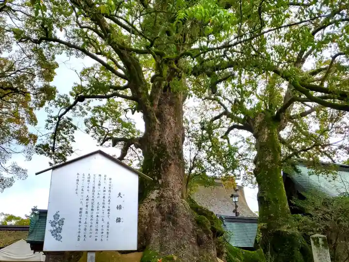 太宰府天満宮の自然