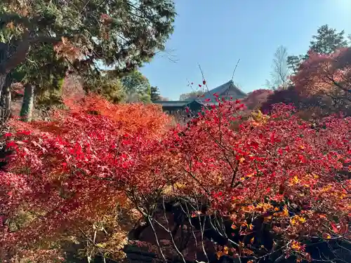 東福禅寺（東福寺）(京都府)