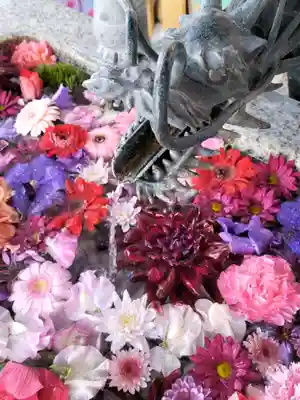 札幌諏訪神社の手水舎