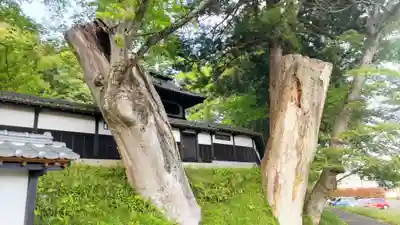 西念寺(茨城県)