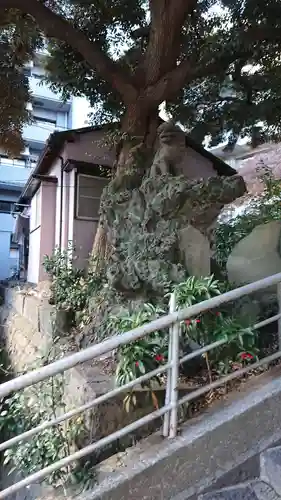 大綱金刀比羅神社の狛犬