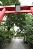 木場 洲﨑神社の鳥居