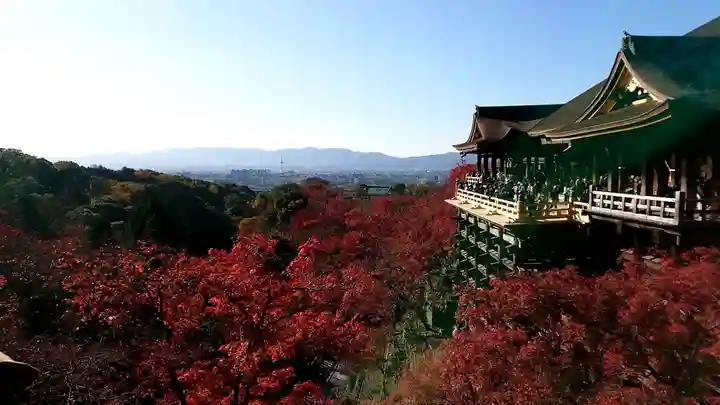 清水寺の本殿・本堂