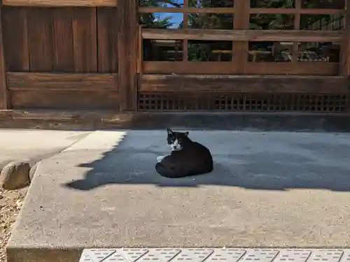 八幡社（柏井町）の動物