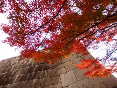 明治神宮(東京都)