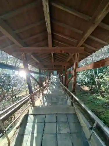 高台寺（高台寿聖禅寺・高臺寺）(京都府)