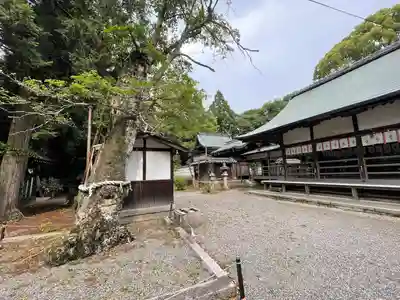 新川神社(滋賀県)