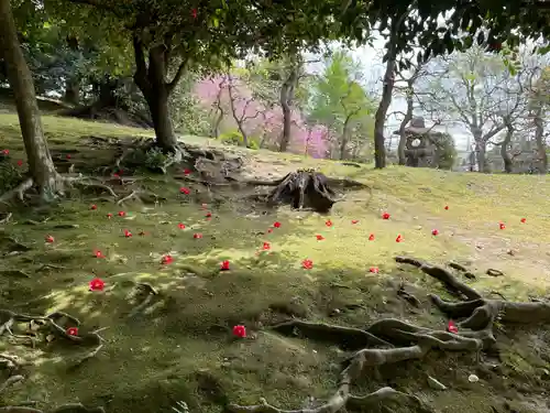 城南宮(京都府)