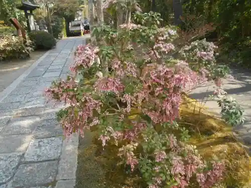 海蔵寺の庭園