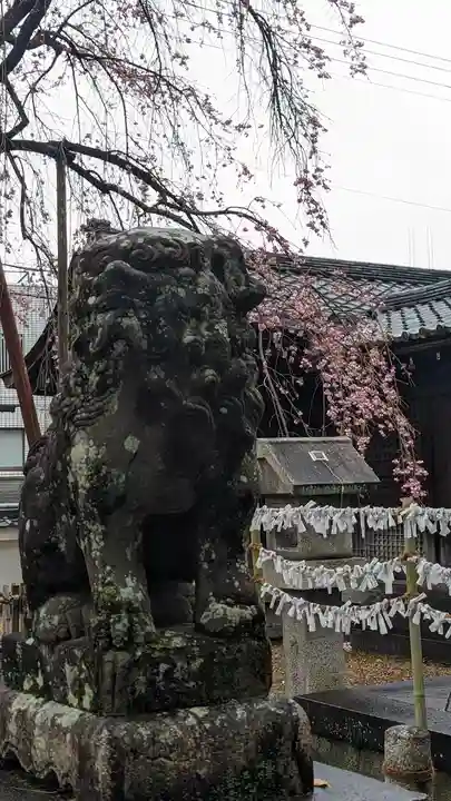 縣神社(京都府)