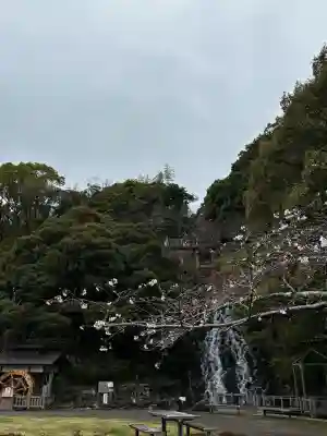 清水寺の{uncategorized: "未分類", other: "その他", undefined: "問題あり", building: "その他建物", grave: "お墓", sacred_gate: "鳥居", guardian: "狛犬", statue: "像", buddha: "仏像", history: "歴史", nature: "自然", garden: "庭園", animal: "動物", pagoda: "塔", temizu: "手水舎", mountain_gate: "山門・神門", sanctuary: "本殿・本堂", subordinate: "末社・摂社", art: "芸術", scenery: "景色", jizo: "地蔵", ema: "絵馬", goshuin: "御朱印", omikuji: "おみくじ", items: "授与品その他", amulet: "お守り", goshuincho: "御朱印帳", eats: "食事", festival: "お祭り", votive_dance: "神楽", shichigosan: "七五三参", wedding: "結婚式", experience: "体験その他", initially: "初詣", around: "周辺", anti_infection: "感染症対策"}
