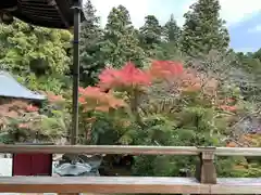 圓教寺(兵庫県)