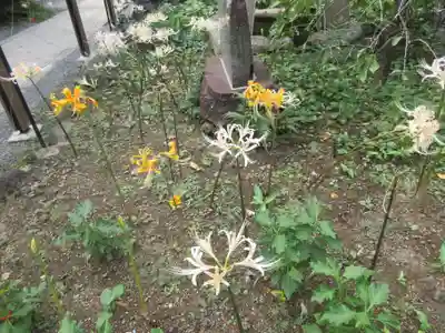 宝城坊(神奈川県)