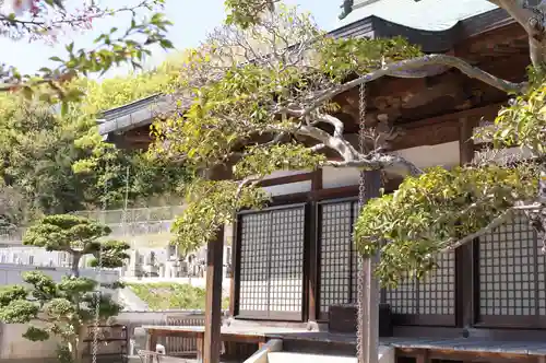 与楽寺の本殿・本堂